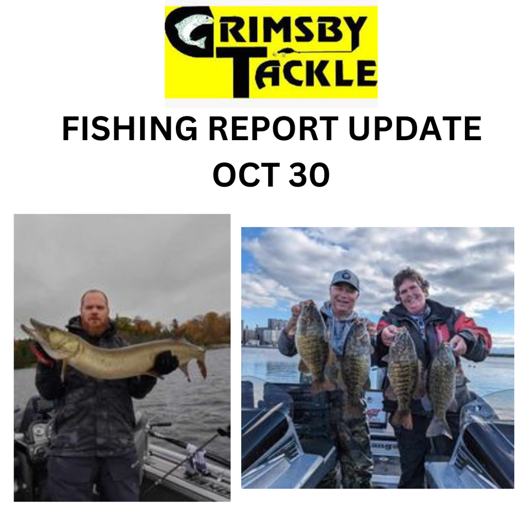 OCT 30 - FISHING REPORT UPDATE