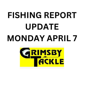 Fishing Report Update - Mon April 7