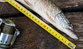 Fish Measuring and Scales – Grimsby Tackle