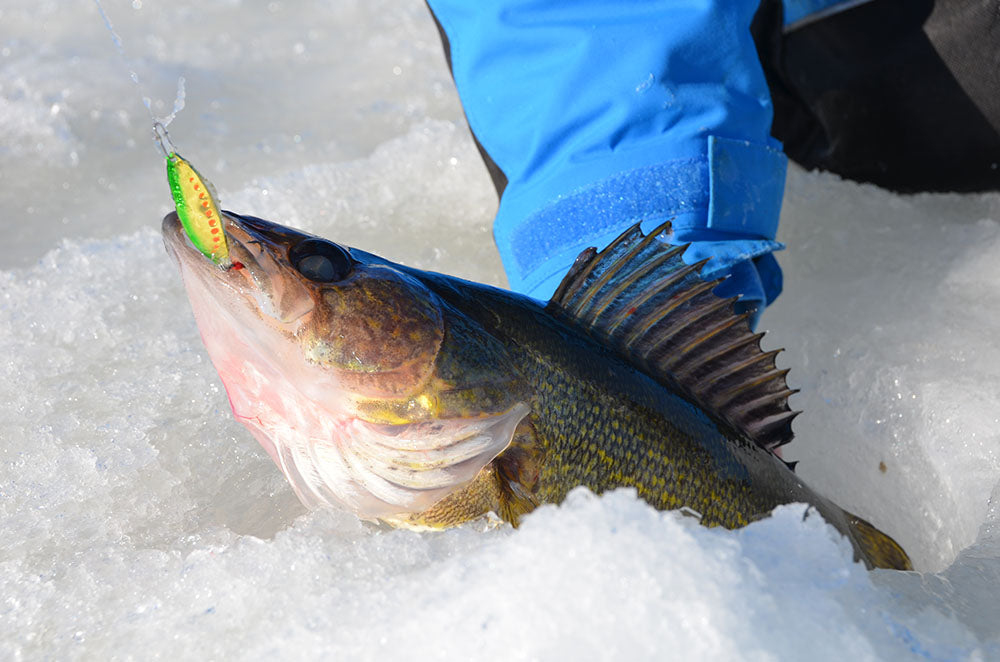 Ice fishing panfish: Inline vs spinning reels – Target Walleye
