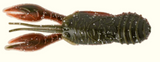 GREAT LAKES FINESSE JUVY CRAW 2.5"