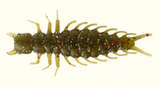 GREAT LAKES FINESSE JUICY HELLGAMMITE 2.4