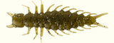 GREAT LAKES FINESSE JUICY HELLGAMMITE 2.4