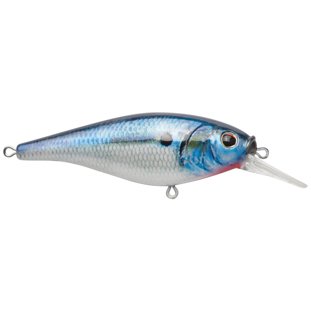  Berkley Flicker Shad Shallow Fishing Lure, HD Bluegill, 2/7  oz, 2 3/4in  7cm Crankbaits, Size, Profile and Dive Depth Imitates Real  Shad, Equipped with Fusion19 Hook : Sports & Outdoors