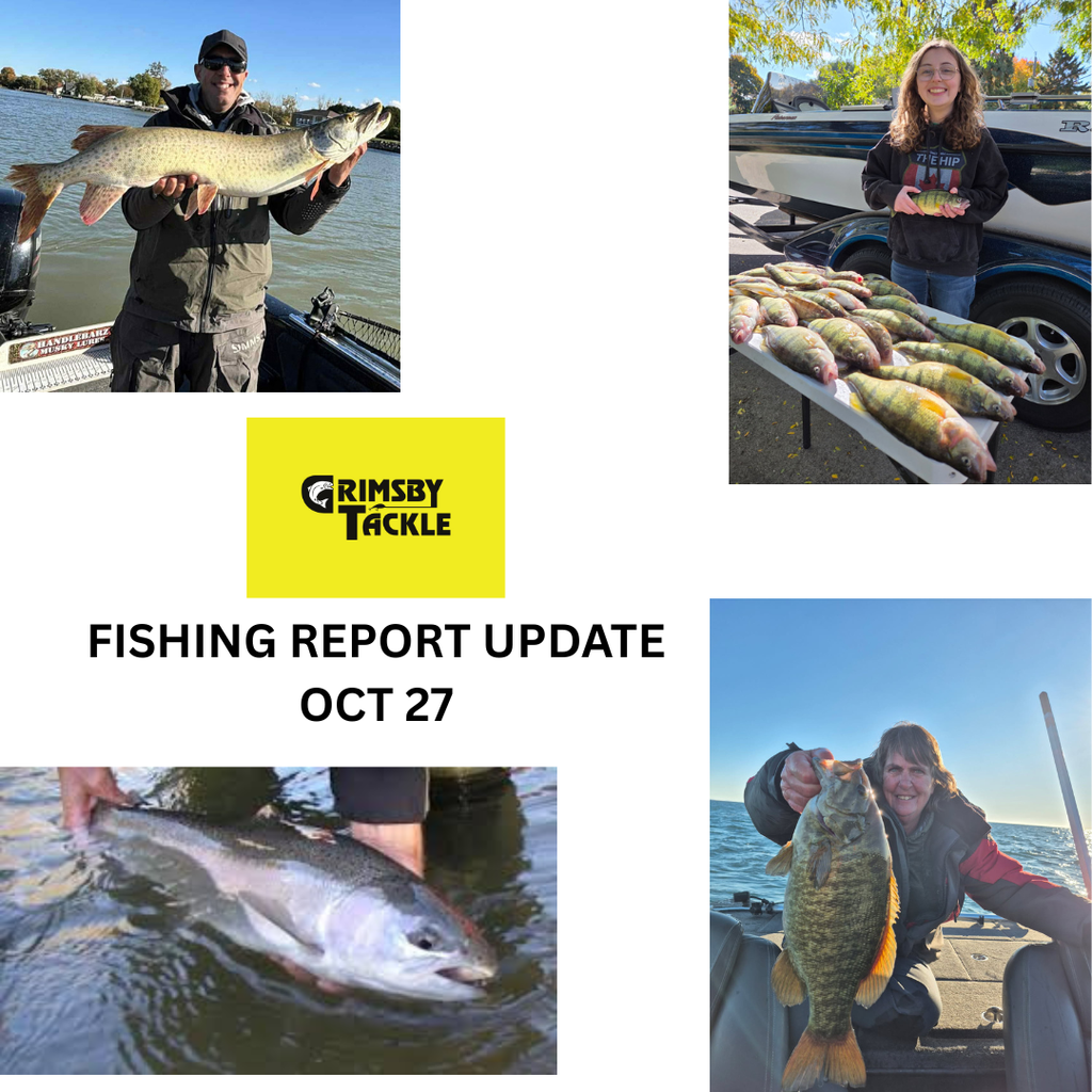 Fishing Report Update - Oct 27