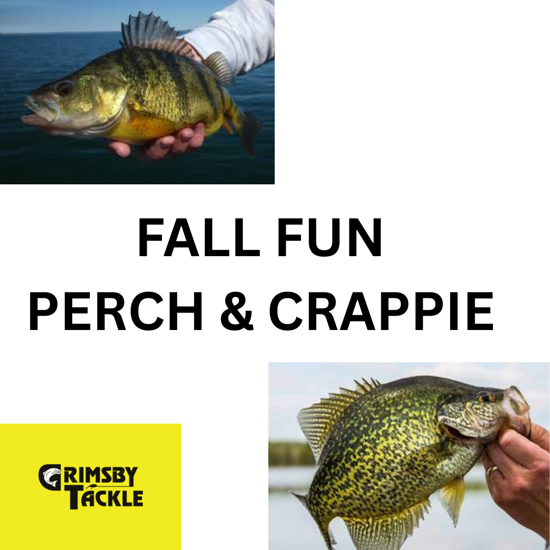 FALL FUN! PERCH & CRAPPIE – Grimsby Tackle