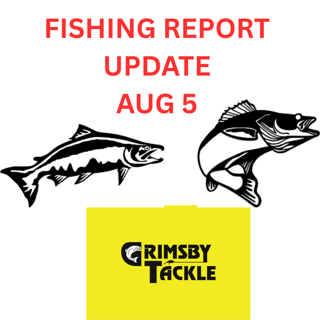 FISHING REPORT UPDATE - AUGUST 5