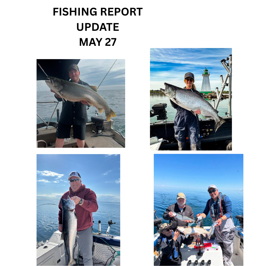 FISHING REPORT UPDATE - MAY 27 – Grimsby Tackle