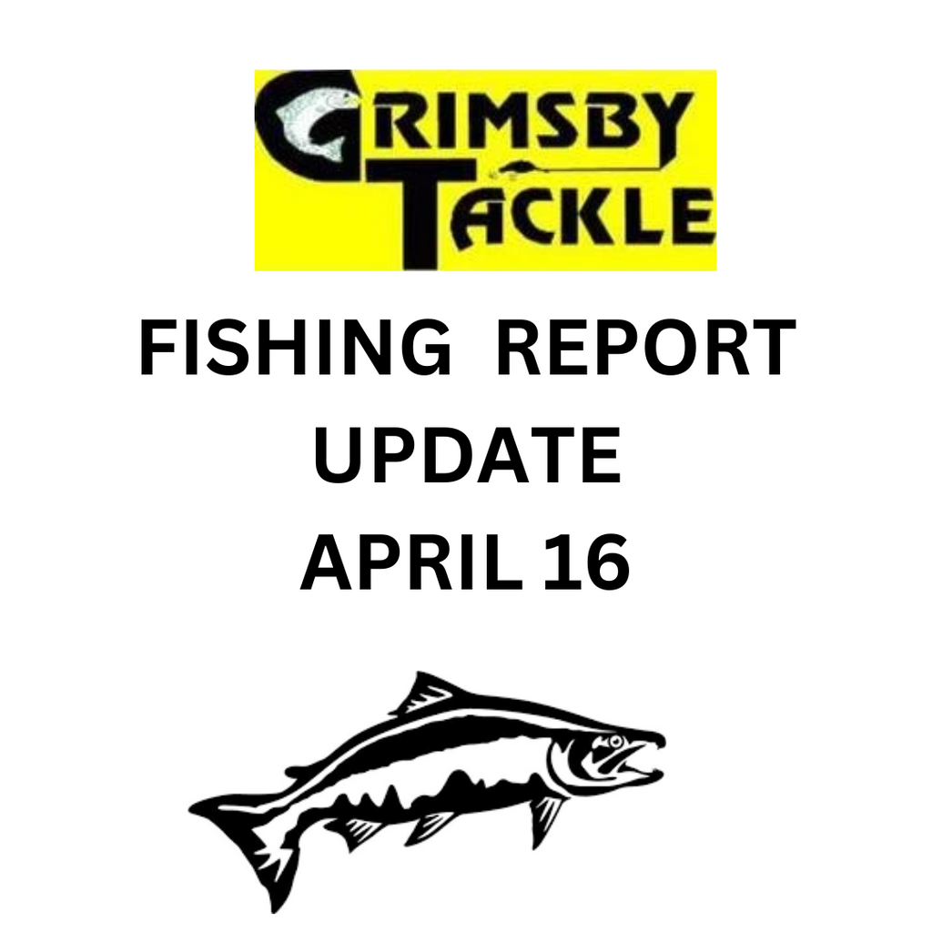 APRIL 16 - FISHING REPORT UPDATE