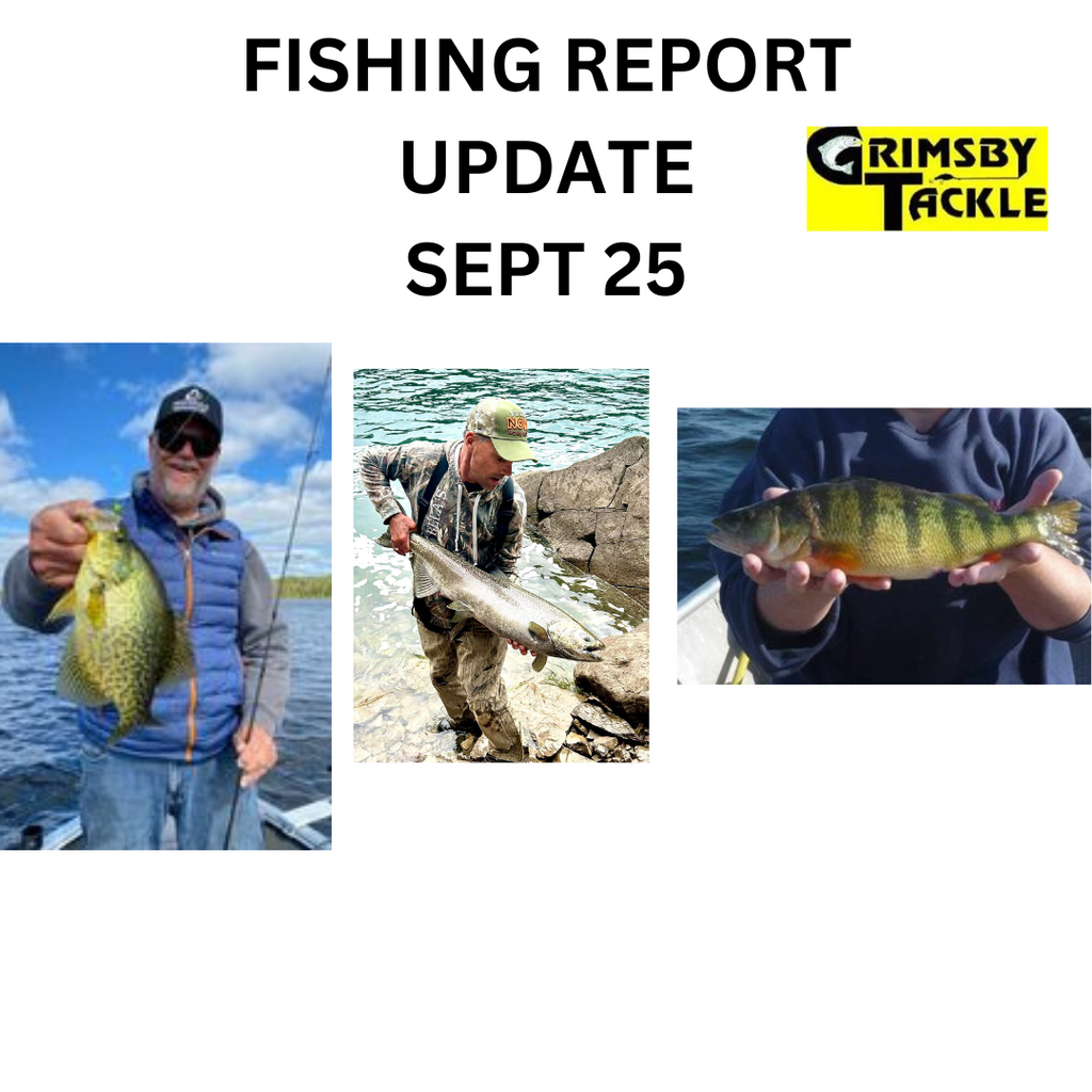 FISHING REPORT UPDATE - SEPT 25