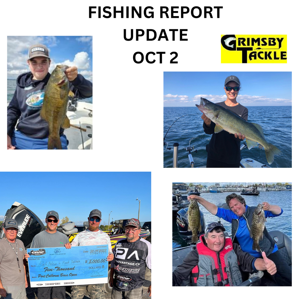 Fishing report update - October 2