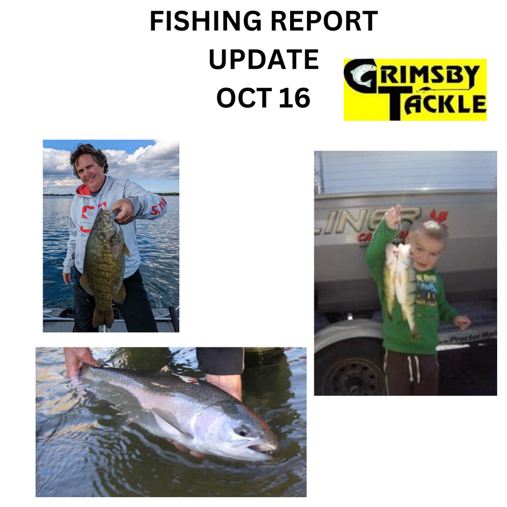 FISHING REPORT UPDATE - OCT 16
