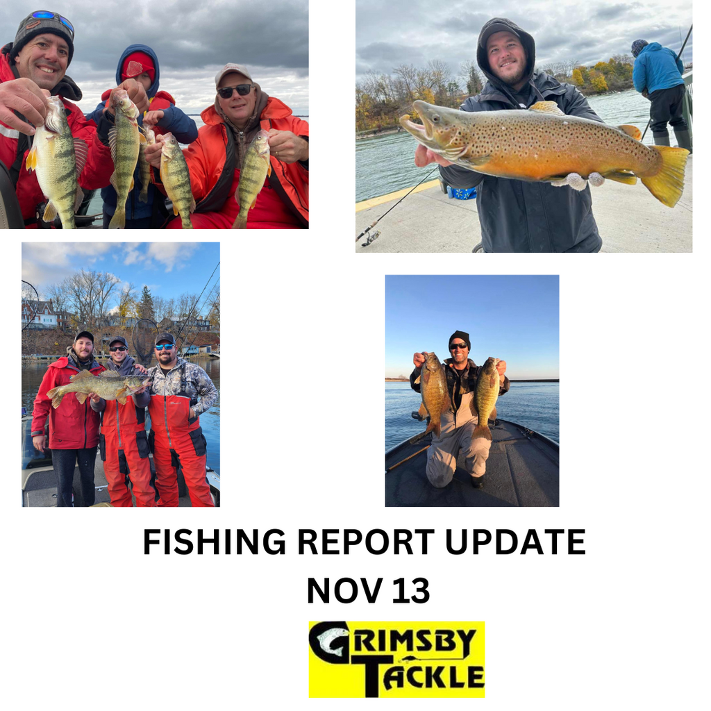 FISHING REPORT UPDATE - NOV 13