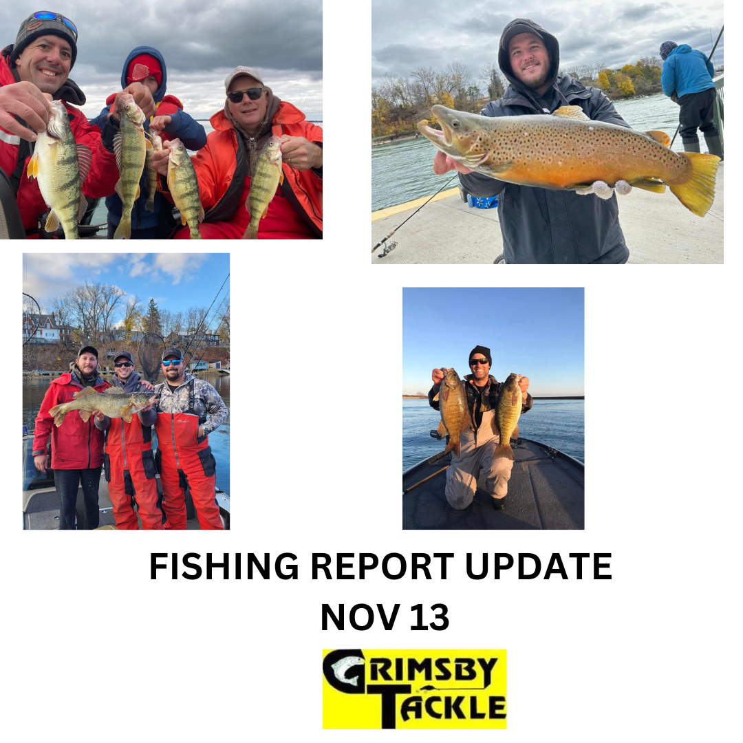 FISHING REPORT UPDATE NOV 13 Grimsby Tackle