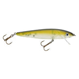 FISH USA SMITHWICK BABY ROGUE