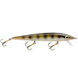 FISH USA SMITHWICK RATTLIN ROGUE