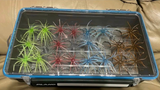 TACKLE CADDY URCHIN STORAGE PLATE