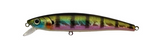 CHALLENGER JR MINNOW