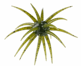 BERKLEY MAX SCENT MOEBA 4.5"