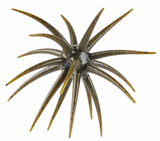 BERKLEY MAX SCENT MOEBA 4.5"