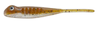 SET THE HOOK DRIFTER 2.75"