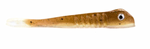 SET THE HOOK DRIFTER 2.75"
