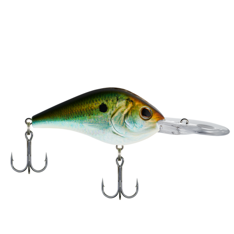 Berkley Dredger 14.5 Crankbait Old Blue