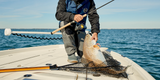 FRABILL NET CONSERVATION 26"X30" Heavy Duty